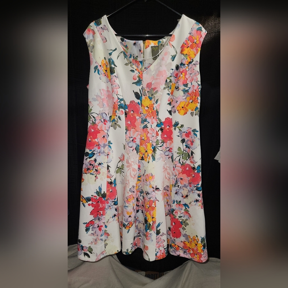 EUC Taylor Multicolor Floral Dress